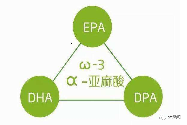 大地归--亚麻酸型食用植物油